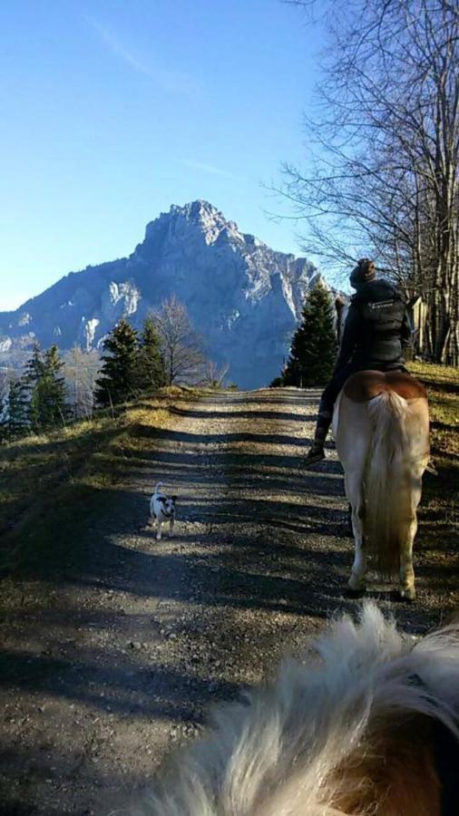 Mitterattweng-Florian Und Monika Clodi Lägenhet Traunkirchen Exteriör bild